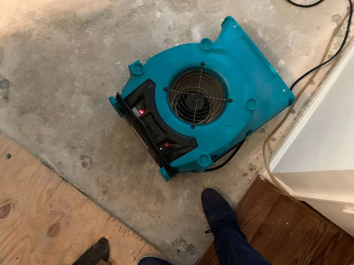 Air mover drying subfloor during Leak Detection & Repair in Ridge Wood Heights